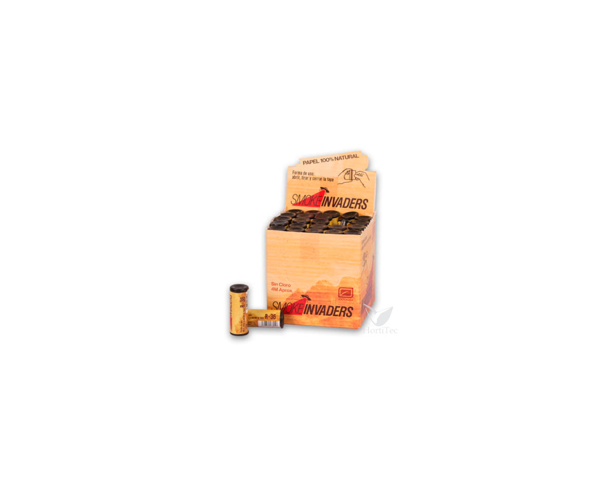 Roller natur r-36 (50 uds)