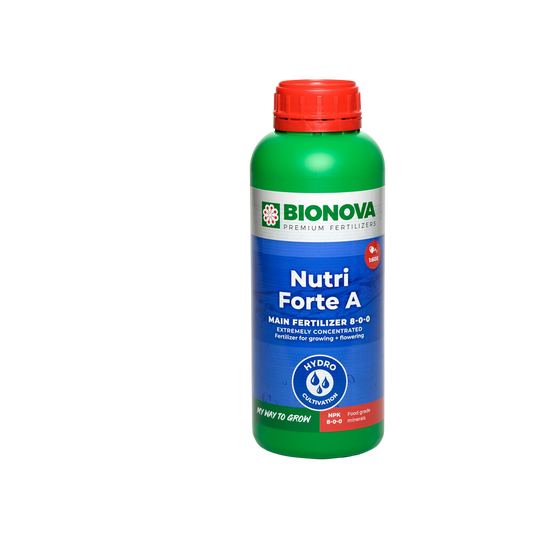 Nutri forte a