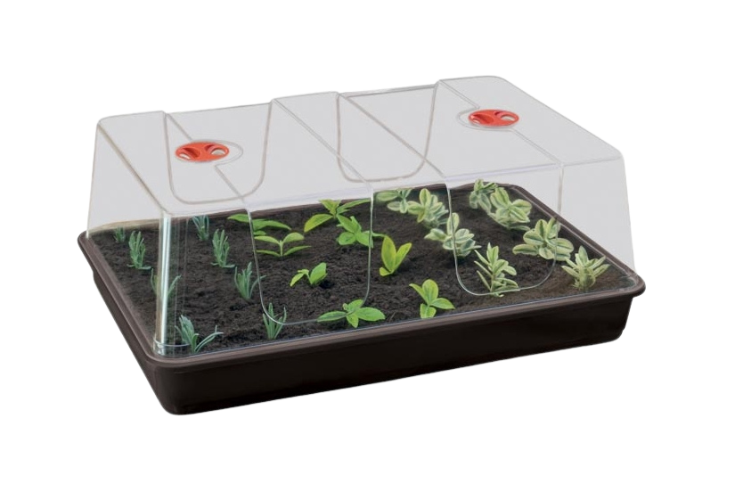 Propagador grande (58 x 40 x 22,5 cm) garland
