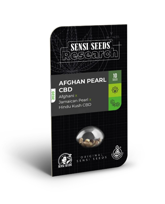 Semillas de afghan pearl cbd autoflorecientes