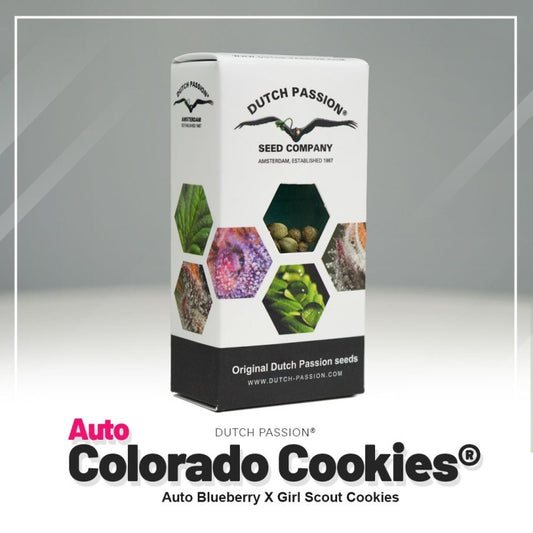 Auto colorado cookies 100%
