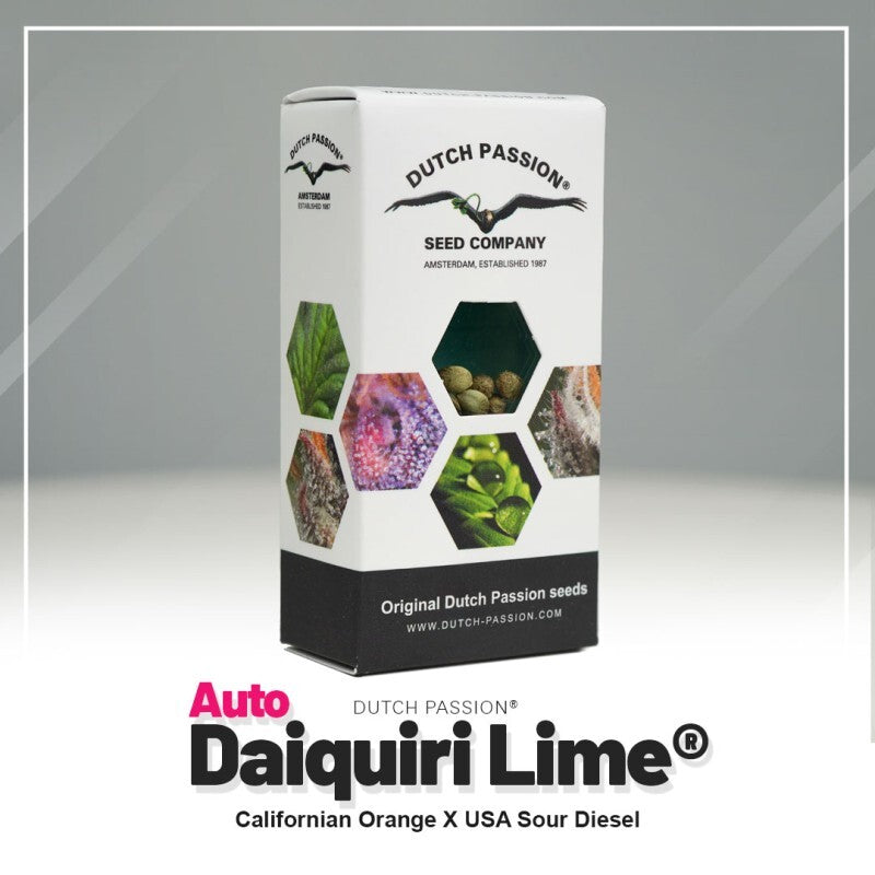 Auto daiquiri lime®