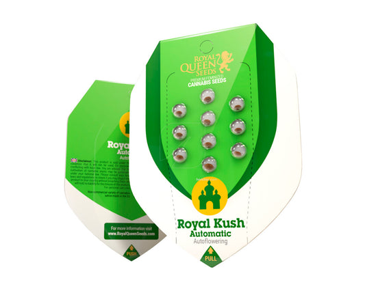 Royal kush auto