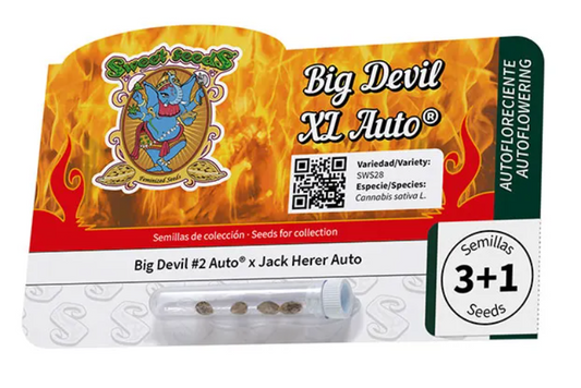 Big devil xl auto
