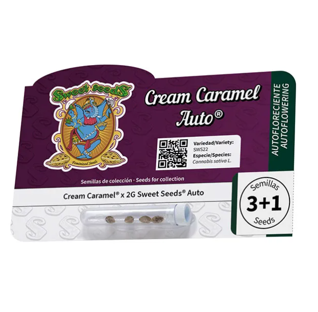 Cream caramel auto