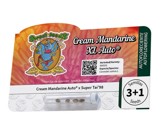 Cream mandarine xl auto