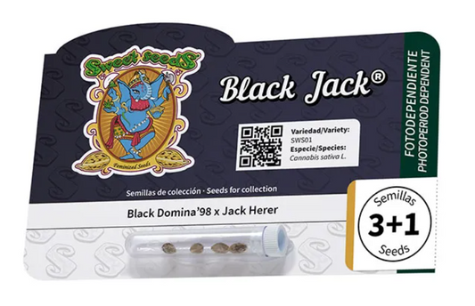 Black jack 100%