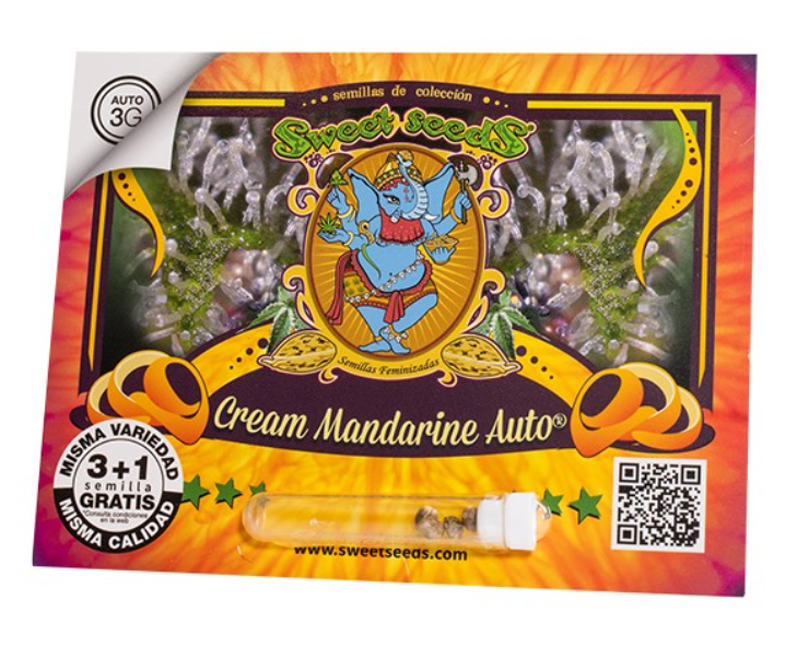 Cream mandarine auto