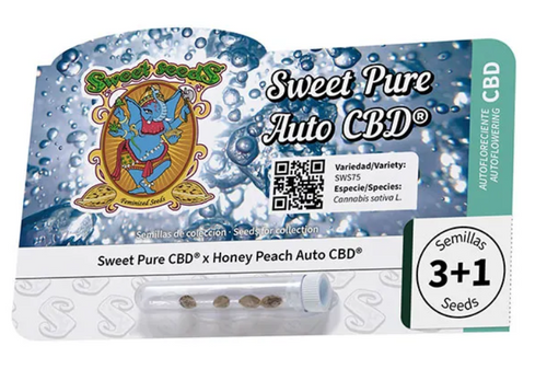 CBD