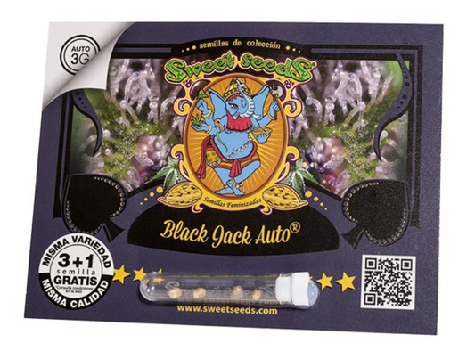 Black jack auto