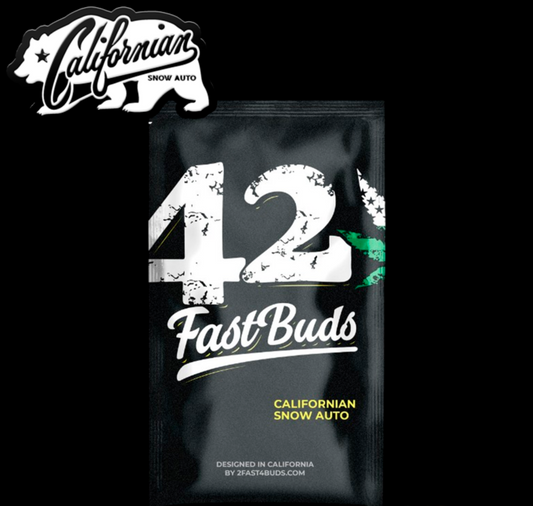 Californian snow auto