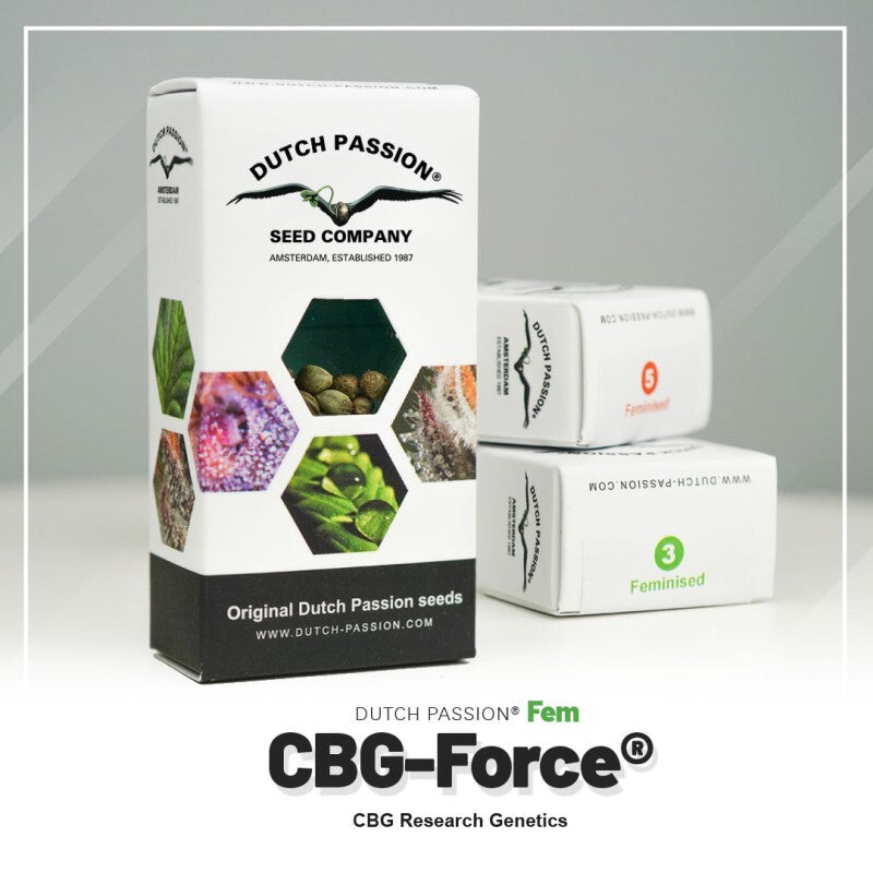 Cbg force