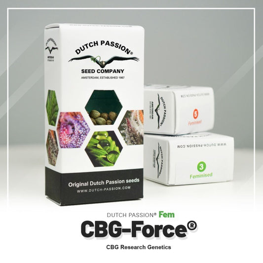 Cbg force