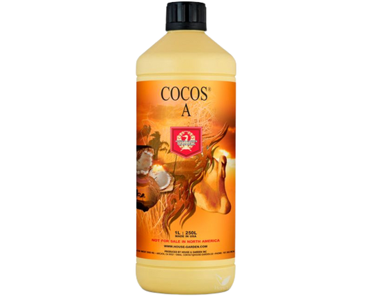 Coco a h&g
