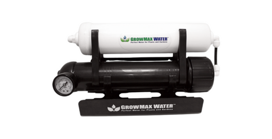 Grow minimax 75