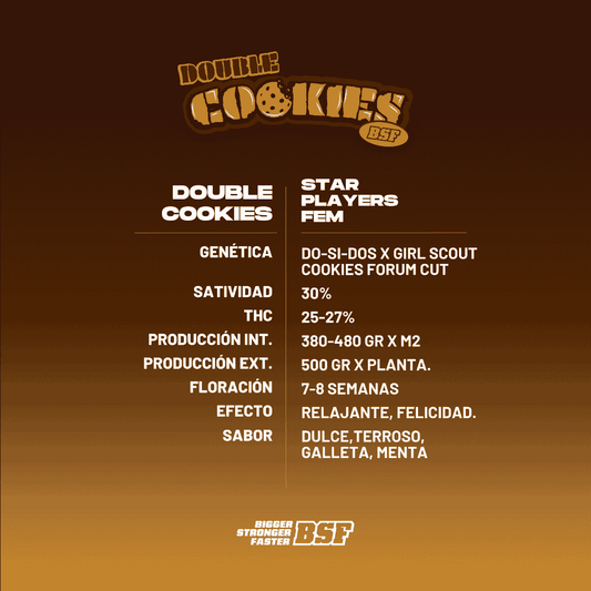 Double cookies