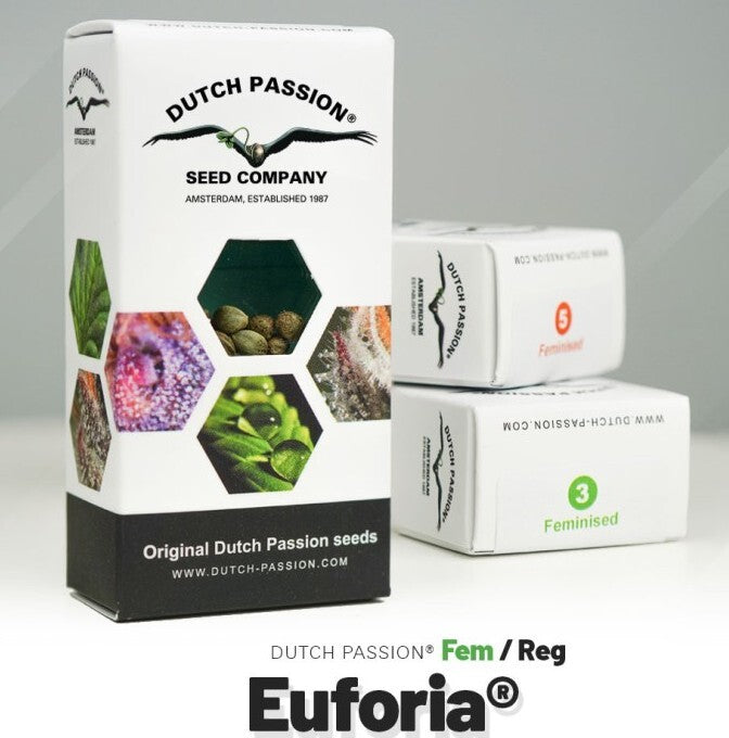 Euforia