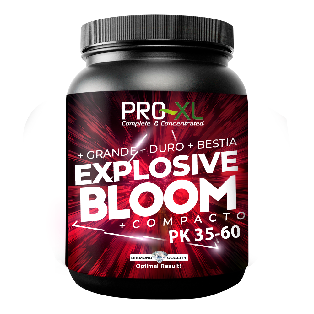 Explosive bloom