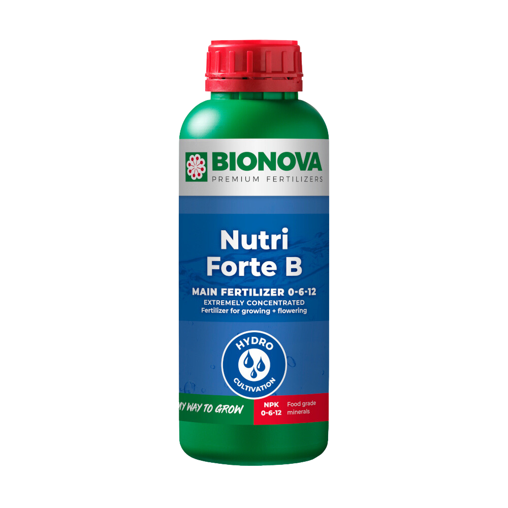 Nutri forte b