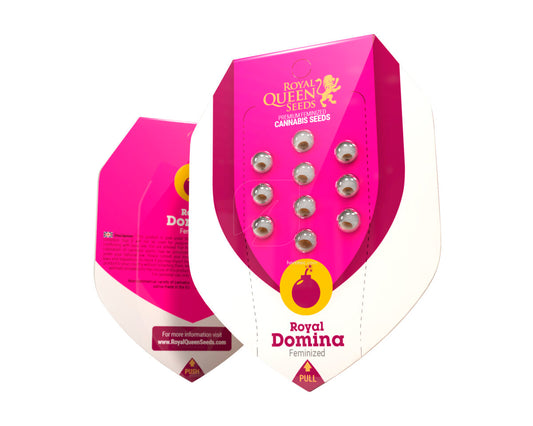 Royal domina