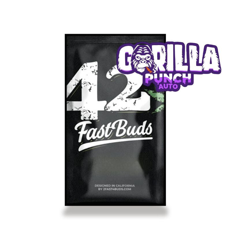 Semilla gorilla punch auto