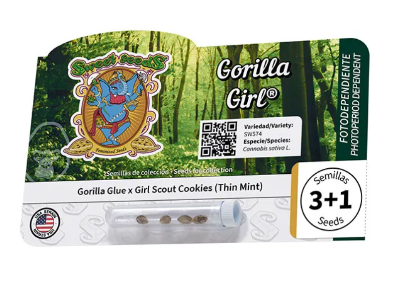 Gorilla girl