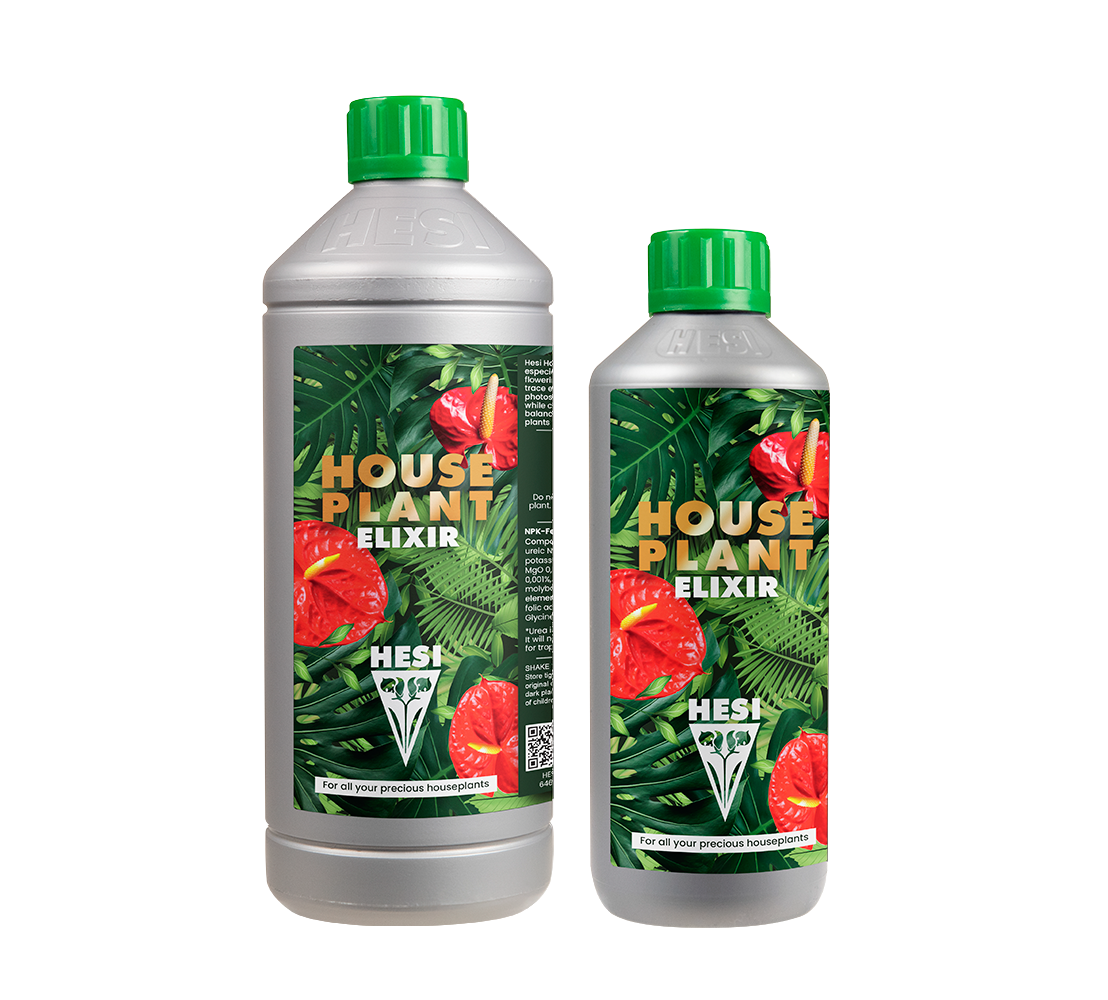 House plant elixir