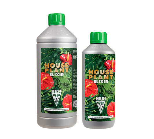 House plant elixir