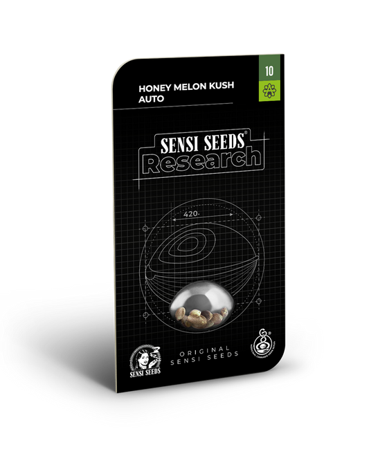 Honey melon kush auto sensi seeds