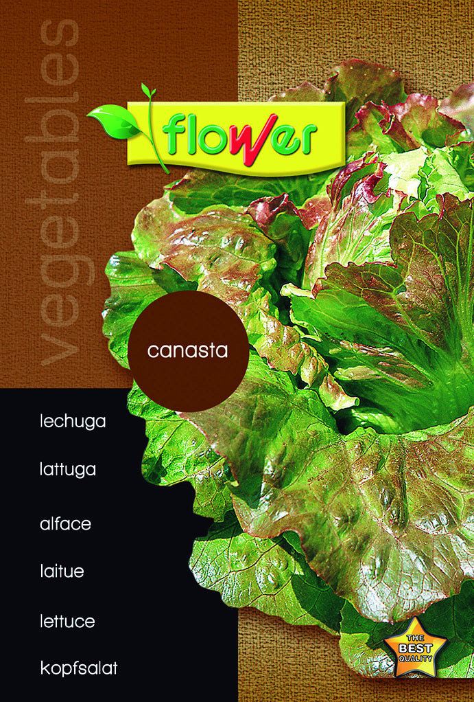 Lechuga canasta