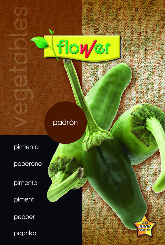 Pimiento padrón