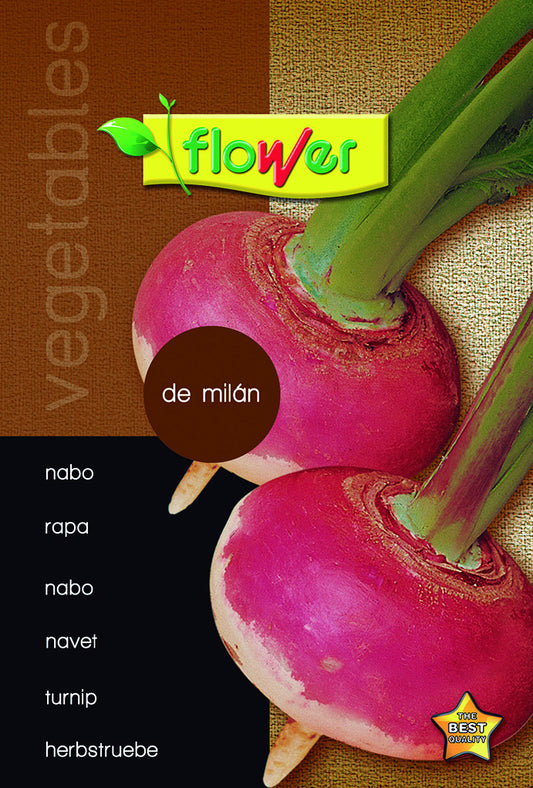 Nabo de milán