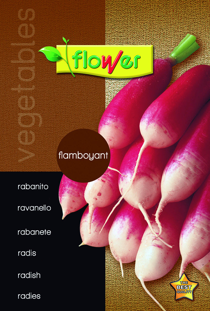 Rabanito flamboyant