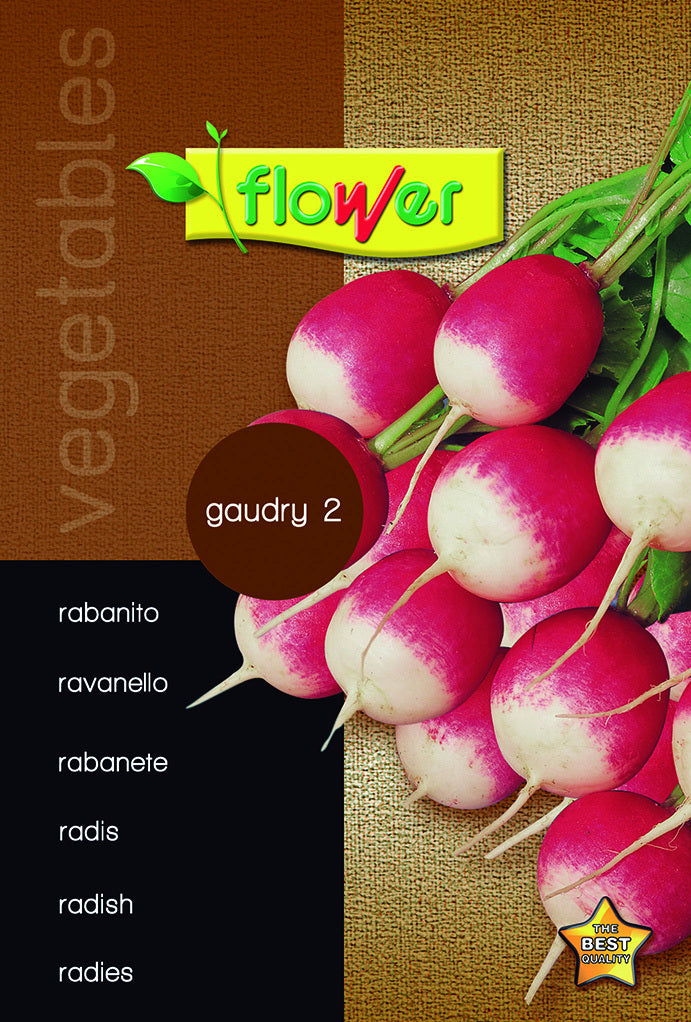 Rabanito gaudry 2