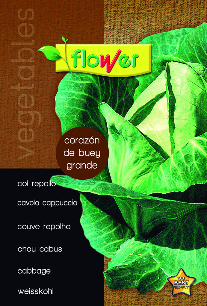 Col repollo corazón de buey grande