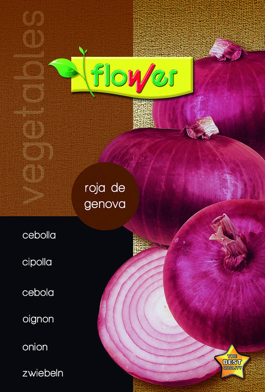 Cebolla de figueres