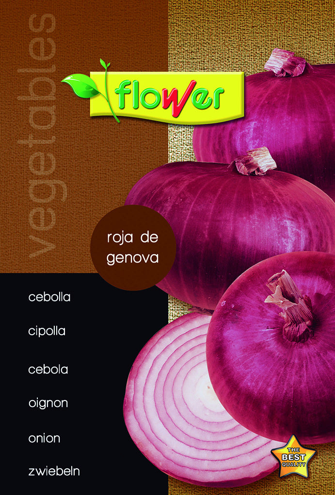 Cebolla roja de génova
