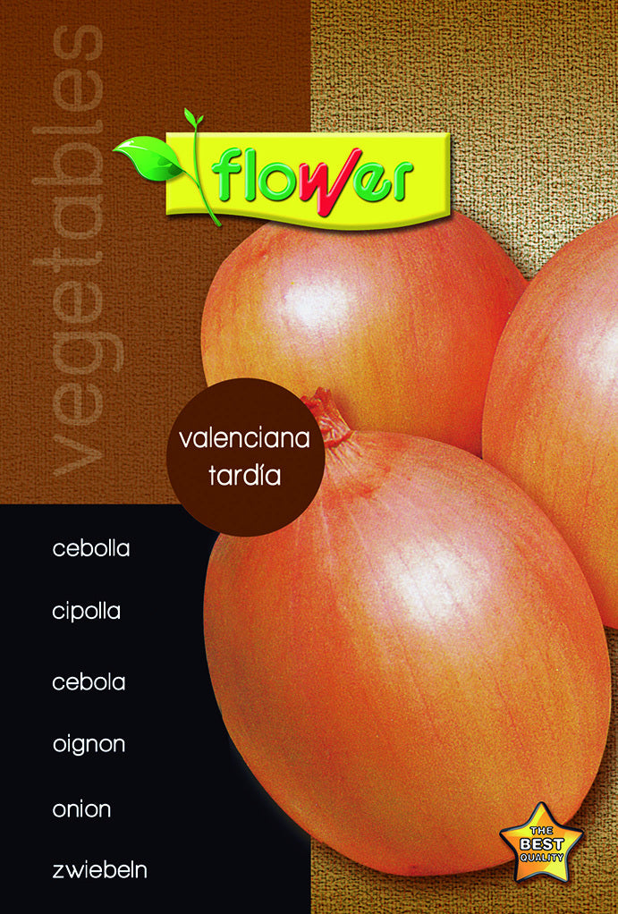 Cebolla valenciana