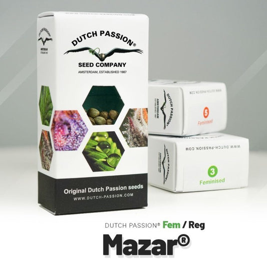 Mazar