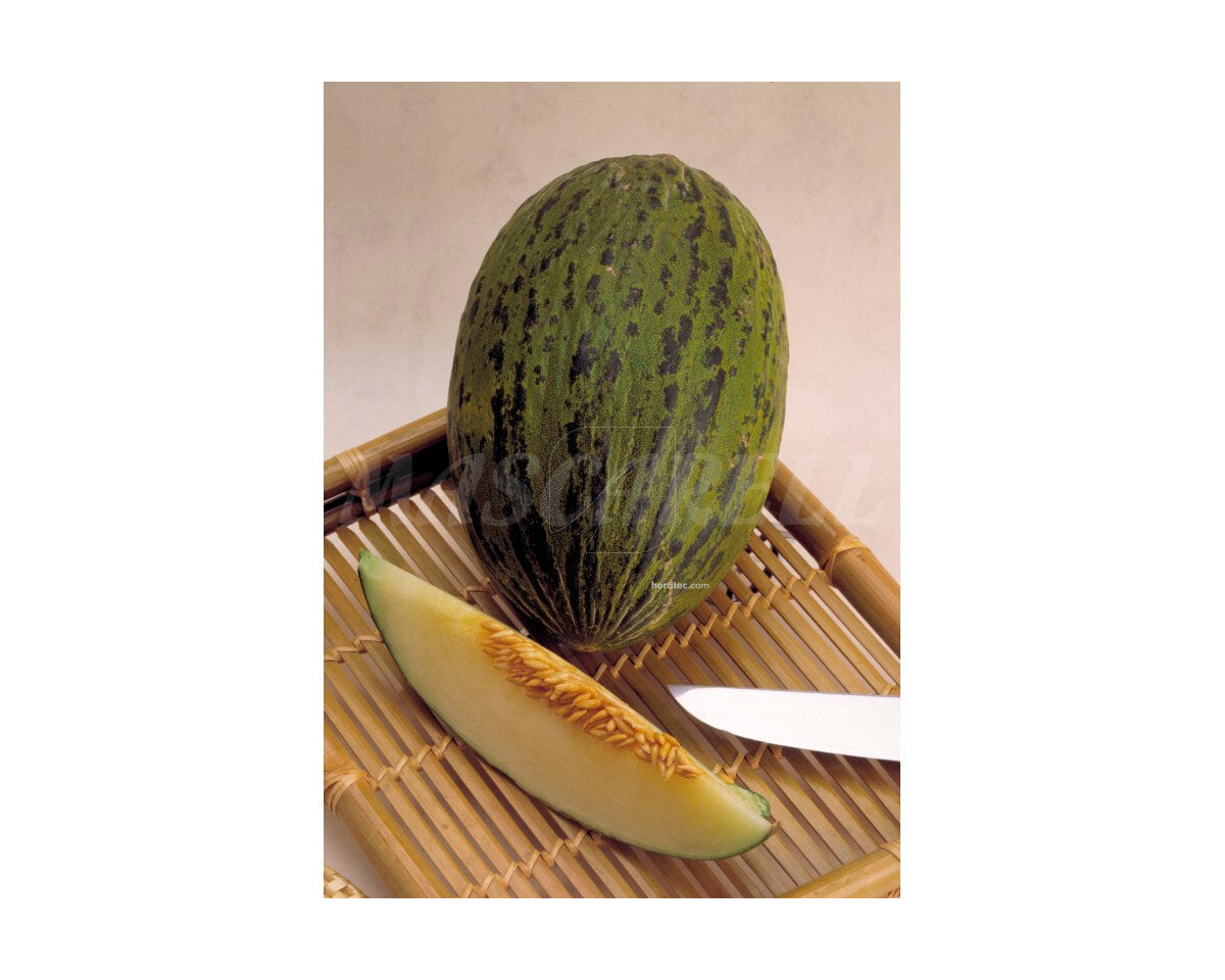 Melon piel de sapo