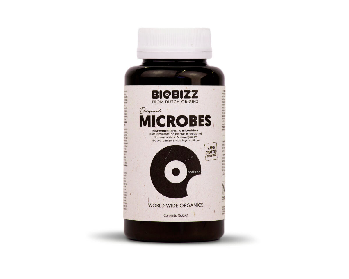 Microbes