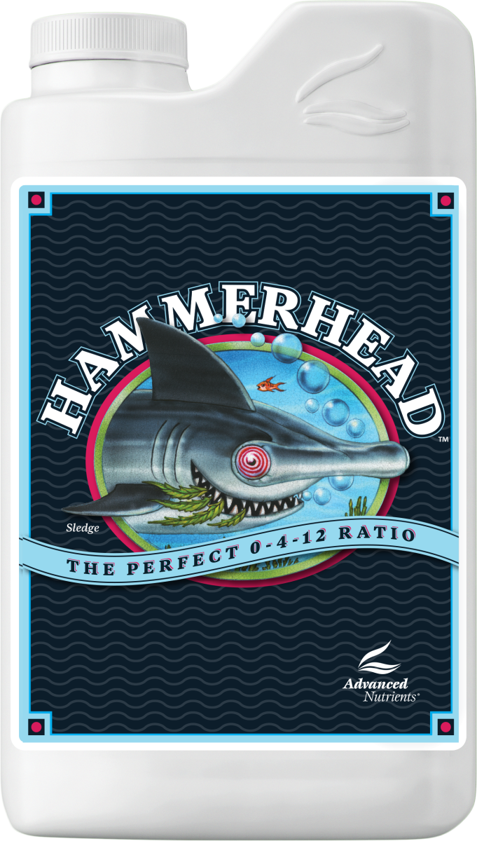 Hammerhead