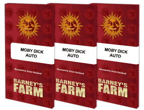 Moby dick auto barney's farm