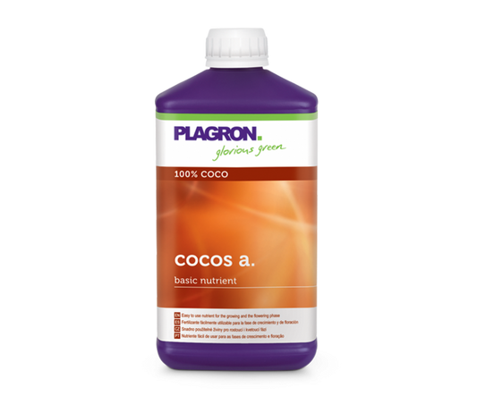 Coco a