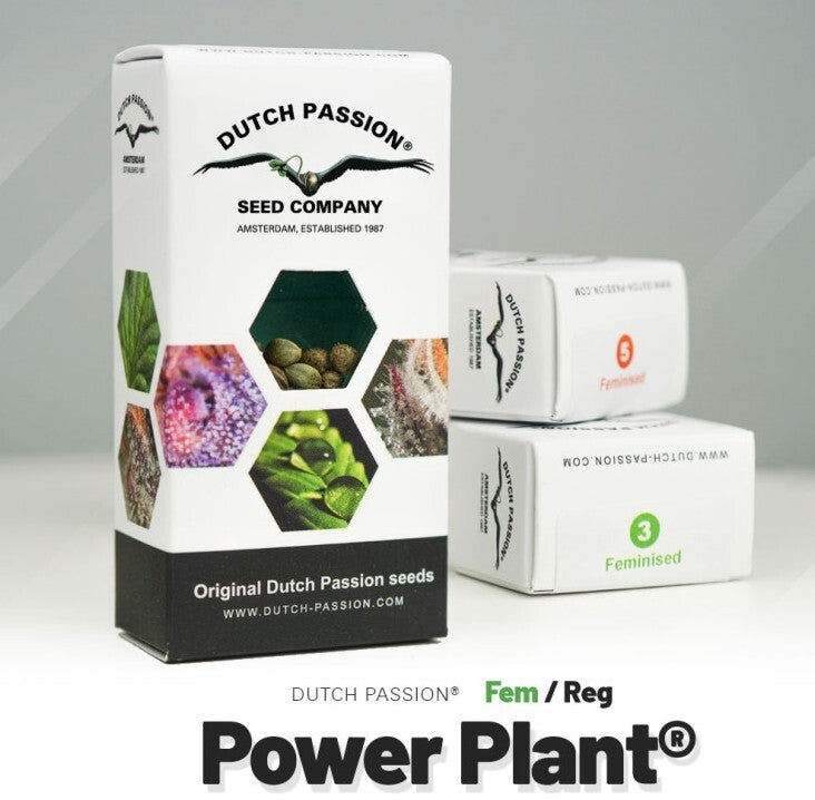 Power plant®
