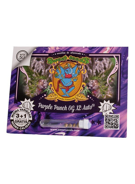 Purple punch og xl auto sweet seeds