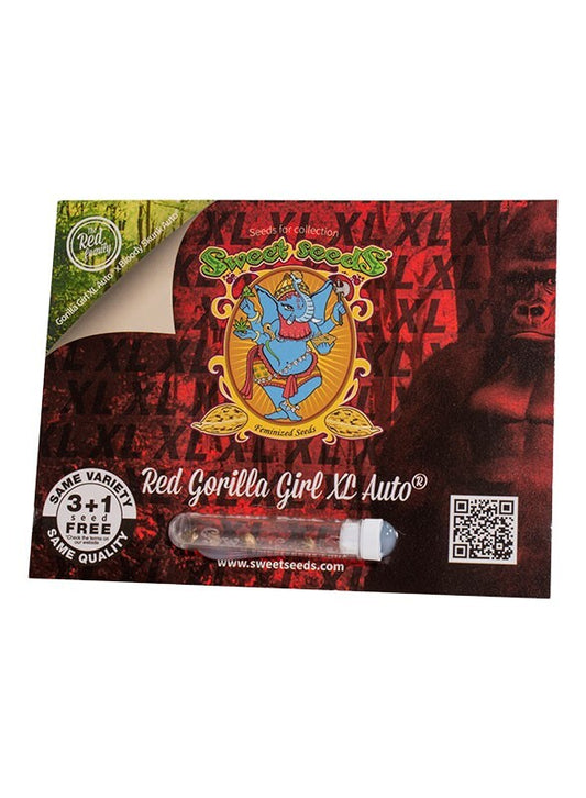 Red gorilla girl xl auto sweet seeds