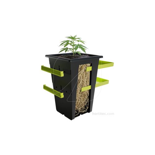 Replant