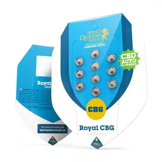 Royal cbg auto royal queen seeds