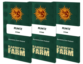 Runtz barney's farm